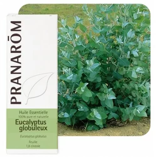 Prana et.ulje eukaliptus globulus 10 ml