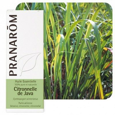Pran et. ulje citronela 10 ml