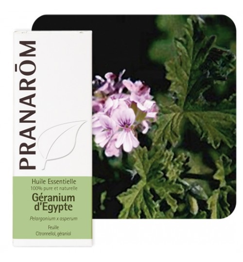 Prana et. ulje geranij egip. 10 ml