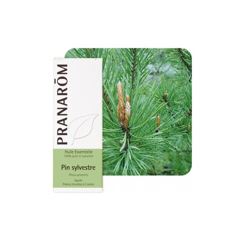 Prana et. ulje bor bijeli 10 ml