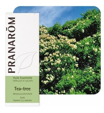 Prana et. ulje čajevac 10 ml